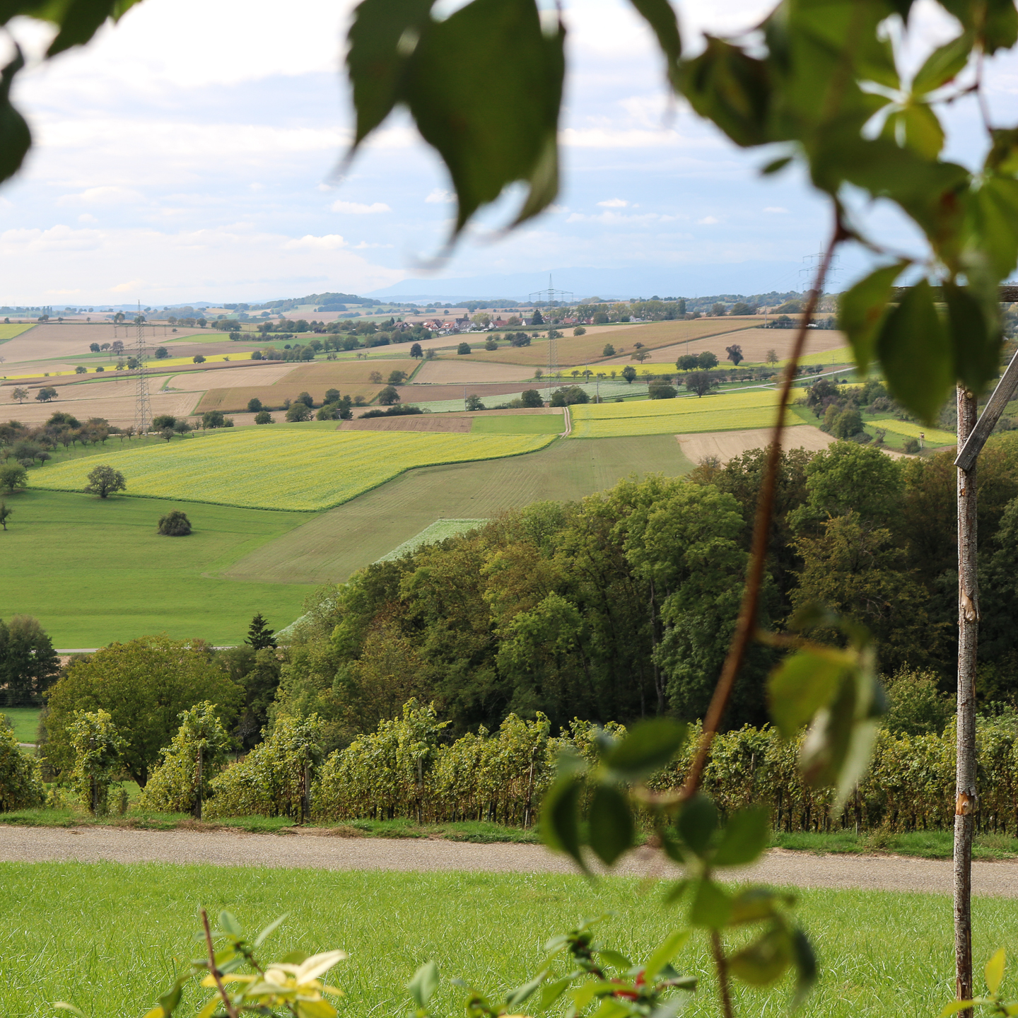 Blick auf mein Leben Blick auf mein Leben